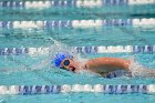 Swimming & Diving vs RWU  Swimming & Diving vs Roger Williams University. - Photo by Keith Nordstrom : Wheaton, Swimming